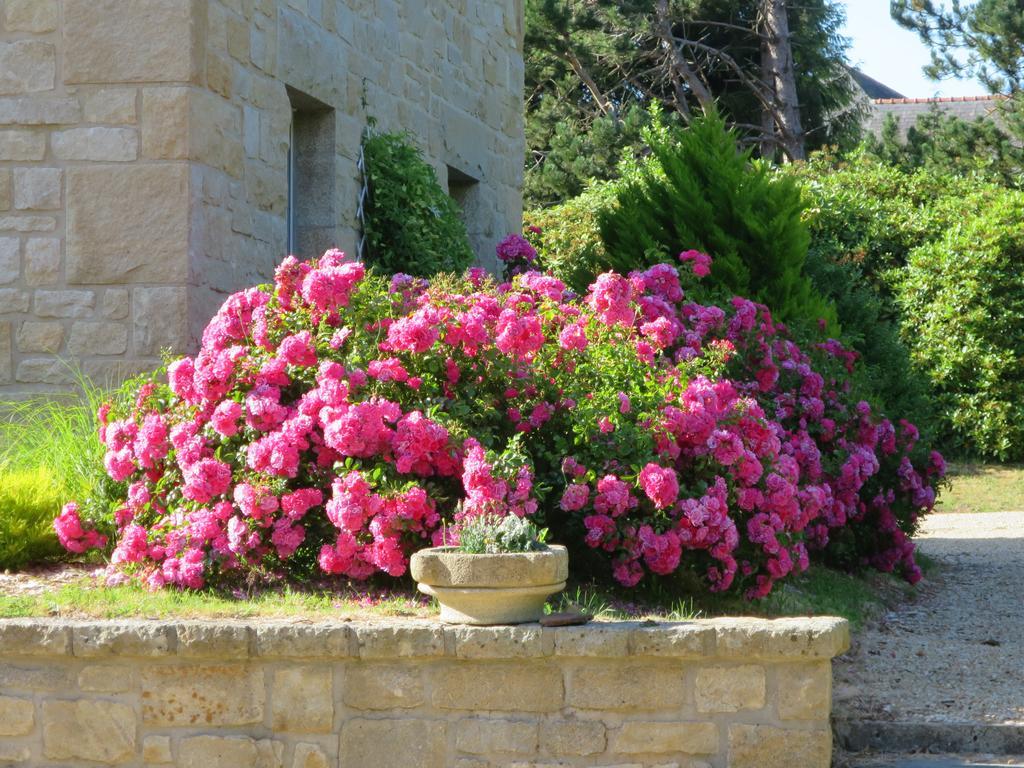 Kerblondel Bed & Breakfast Plouézocʼh Bagian luar foto